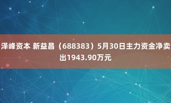 泽峰资本 新益昌（688383）5月30日主力资金净卖出1943.90万元