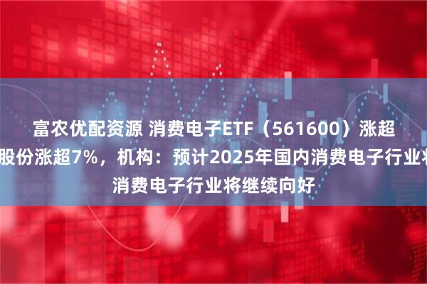 富农优配资源 消费电子ETF（561600）涨超2%，芯原股份涨超7%，机构：预计2025年国内消费电子行业将继续向好