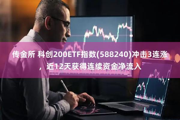 传金所 科创200ETF指数(588240)冲击3连涨，近12天获得连续资金净流入
