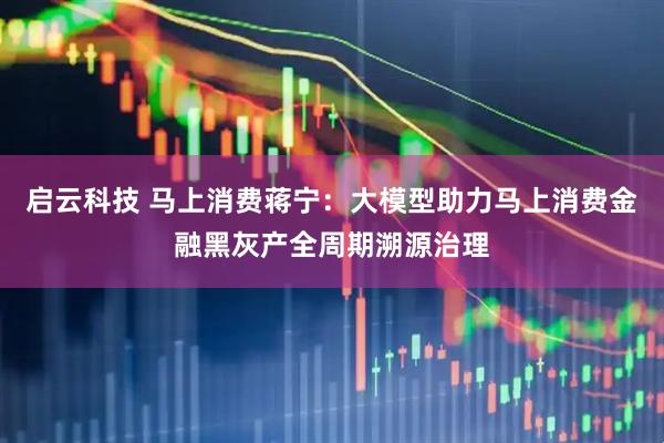 启云科技 马上消费蒋宁：大模型助力马上消费金融黑灰产全周期溯源治理