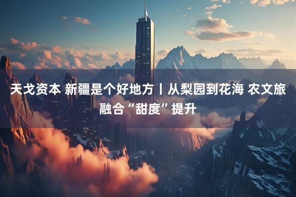 天戈资本 新疆是个好地方丨从梨园到花海 农文旅融合“甜度”提升