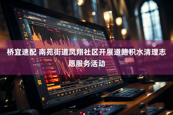 桥宜速配 南苑街道凤翔社区开展道路积水清理志愿服务活动