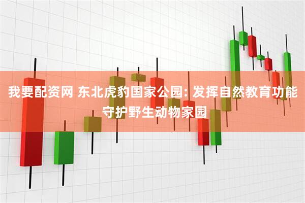 我要配资网 东北虎豹国家公园: 发挥自然教育功能 守护野生动物家园