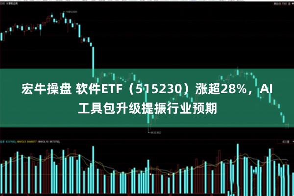宏牛操盘 软件ETF（515230）涨超28%，AI工具包升级提振行业预期