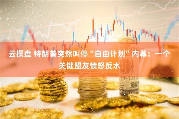 云操盘 特朗普突然叫停“自由计划”内幕：一个关键盟友愤怒反水